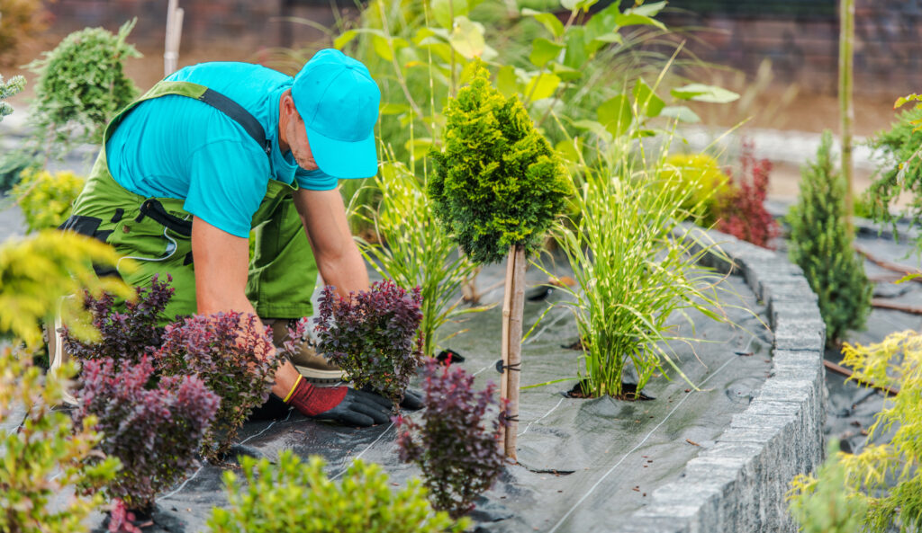 Importance of having a website for your landscaping business